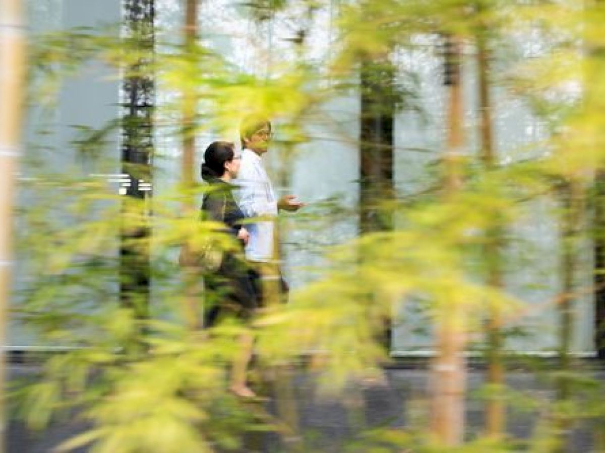 Two people walking behind blurred bamboo stalks, creating a serene and natural setting with a peaceful ambiance.