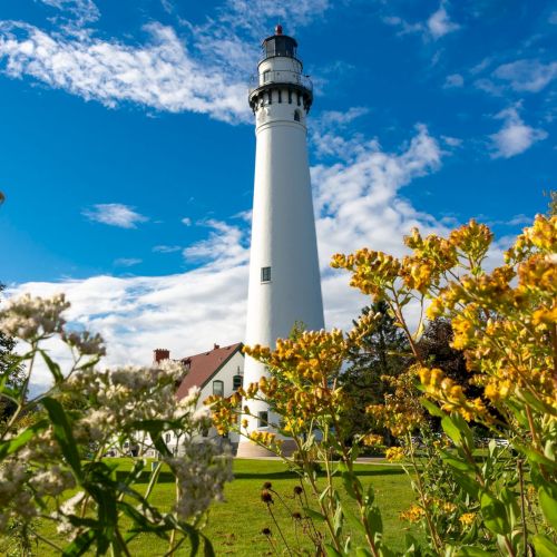 A tall white lighthouse surrounded by green grass and yellow wildflowers under a blue sky with scattered clouds.