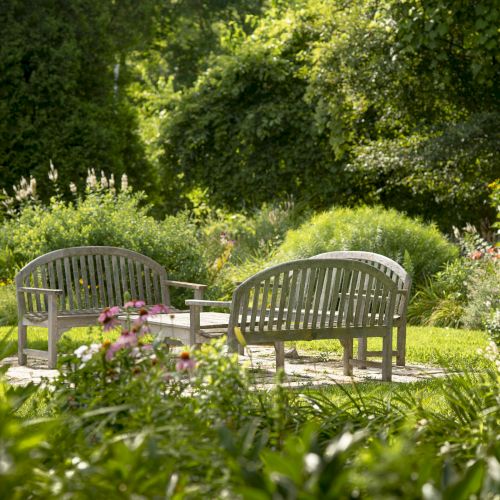 A tranquil garden scene featuring two wooden benches facing each other, surrounded by lush greenery and flowering plants.