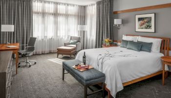 A modern hotel room with a bed, desk, chair, armchair, and window, decorated in neutral tones, featuring a bottle and snacks on a bench.