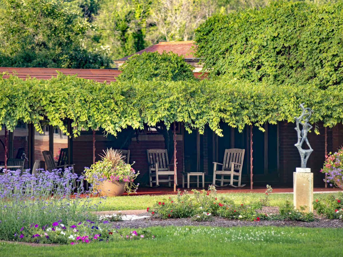 A cozy garden porch with wooden chairs shaded by a leafy canopy, potted plants, and a lavender bed in the foreground.